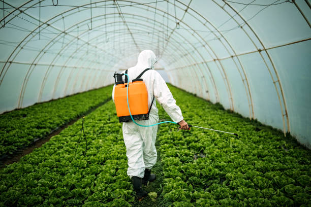 Best Pest Control for Restaurants  in Tarboro, NC