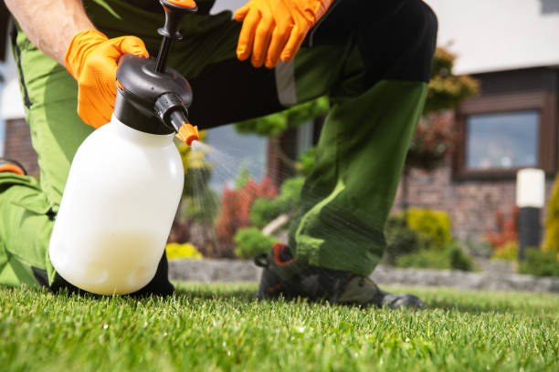 Best Best Pest Control Companies  in Tarboro, NC