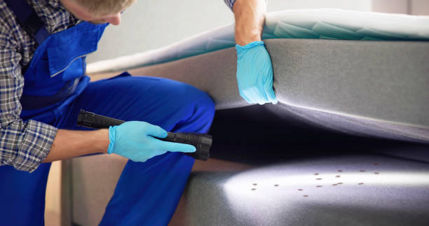 Best Pest Inspection Near Me  in Tarboro, NC