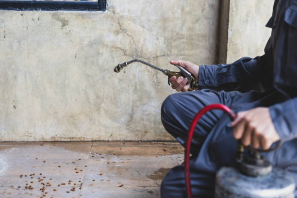Best Affordable Pest Control Services  in Tarboro, NC