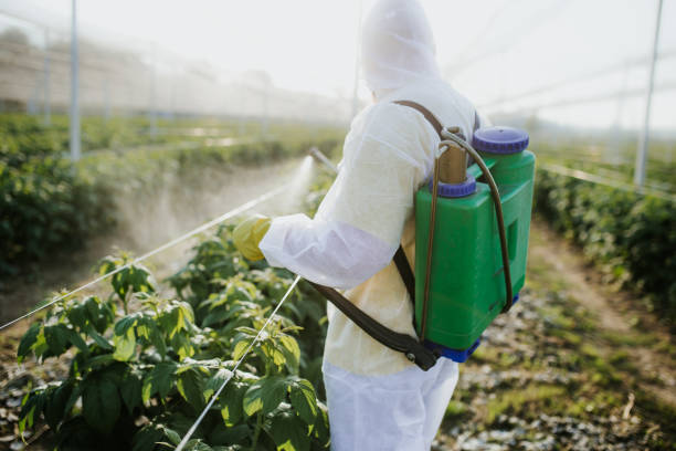 Best Emergency Pest Control  in Tarboro, NC